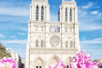 notre_dame_mappiness